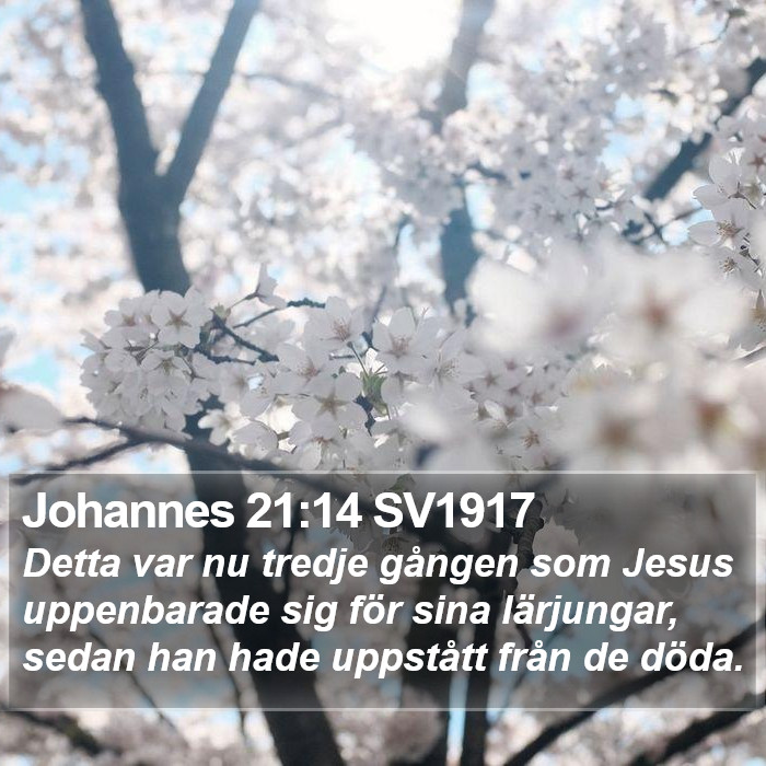 Johannes 21:14 SV1917 Bible Study