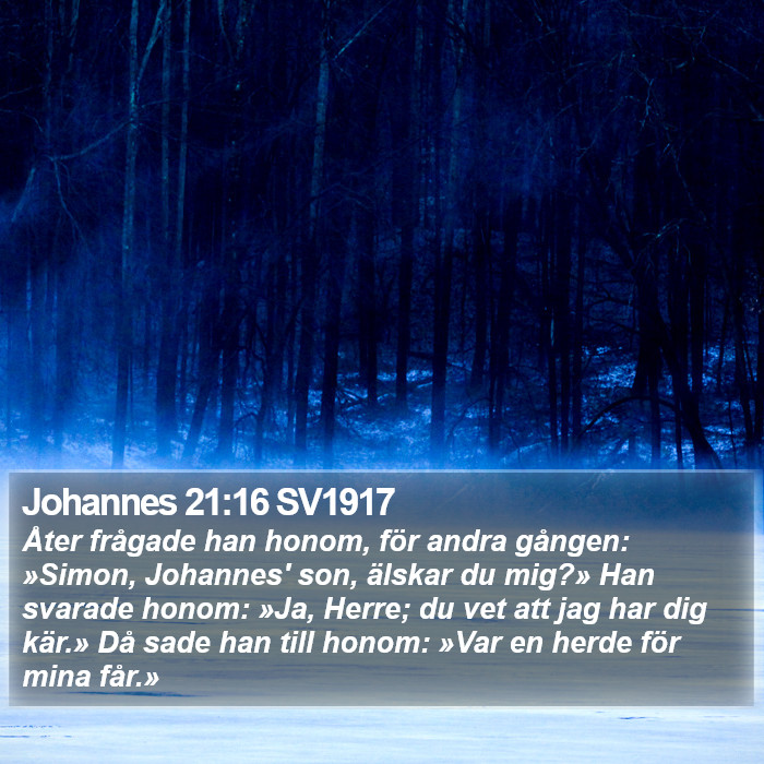 Johannes 21:16 SV1917 Bible Study