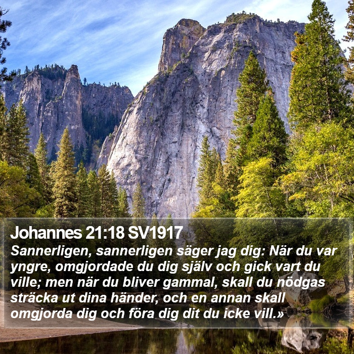 Johannes 21:18 SV1917 Bible Study