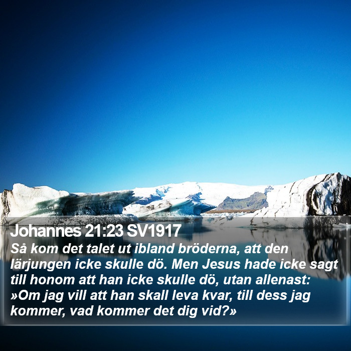 Johannes 21:23 SV1917 Bible Study