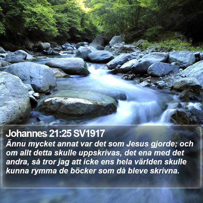 Johannes 21:25 SV1917 Bible Study