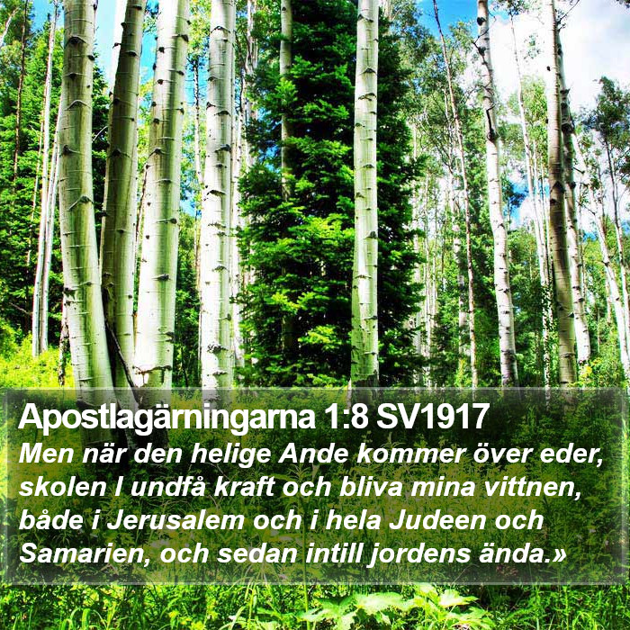 Apostlagärningarna 1:8 SV1917 Bible Study