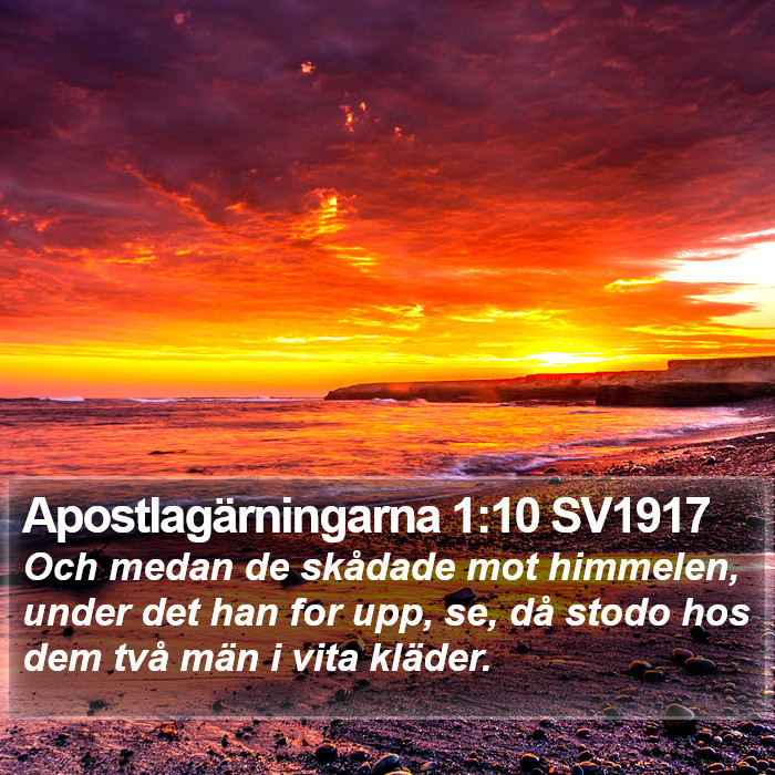 Apostlagärningarna 1:10 SV1917 Bible Study