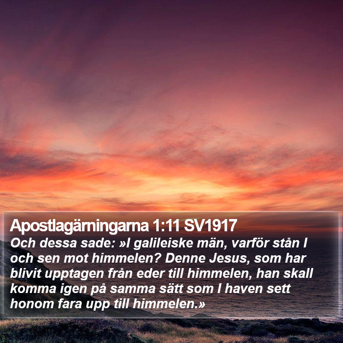 Apostlagärningarna 1:11 SV1917 Bible Study