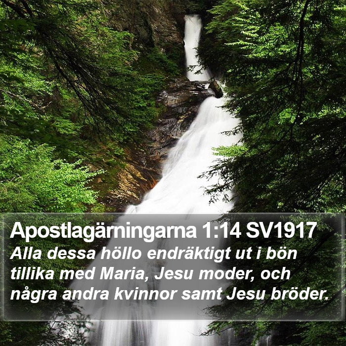 Apostlagärningarna 1:14 SV1917 Bible Study