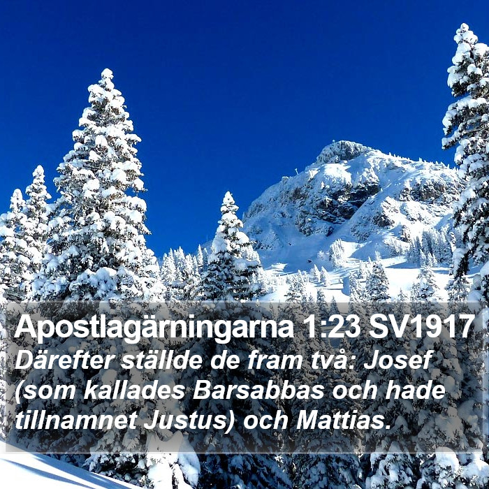 Apostlagärningarna 1:23 SV1917 Bible Study