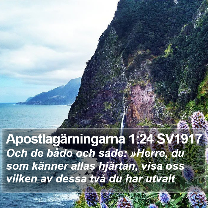 Apostlagärningarna 1:24 SV1917 Bible Study