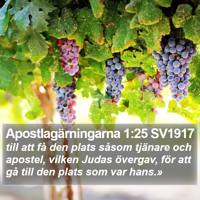 Apostlagärningarna 1:25 SV1917 Bible Study