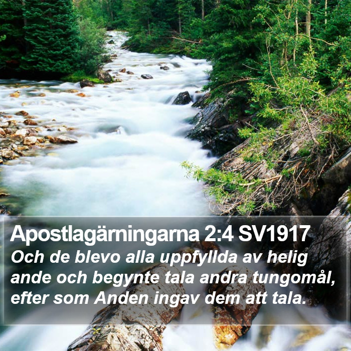 Apostlagärningarna 2:4 SV1917 Bible Study