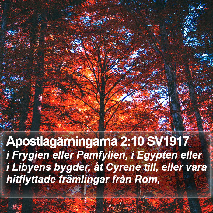 Apostlagärningarna 2:10 SV1917 Bible Study