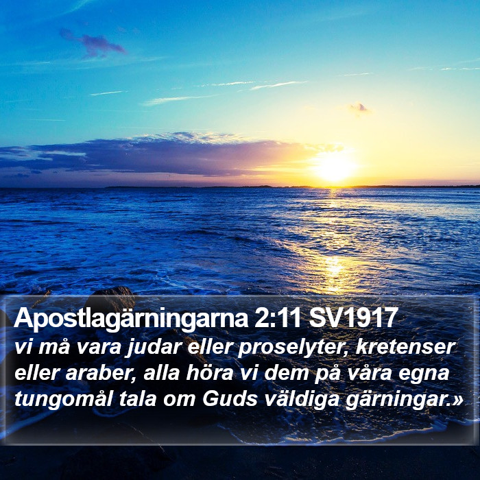 Apostlagärningarna 2:11 SV1917 Bible Study