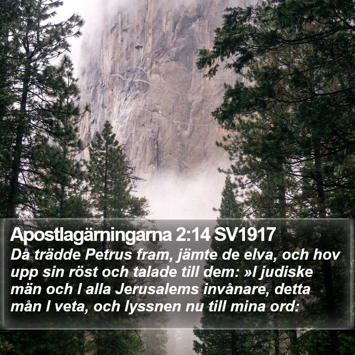 Apostlagärningarna 2:14 SV1917 Bible Study