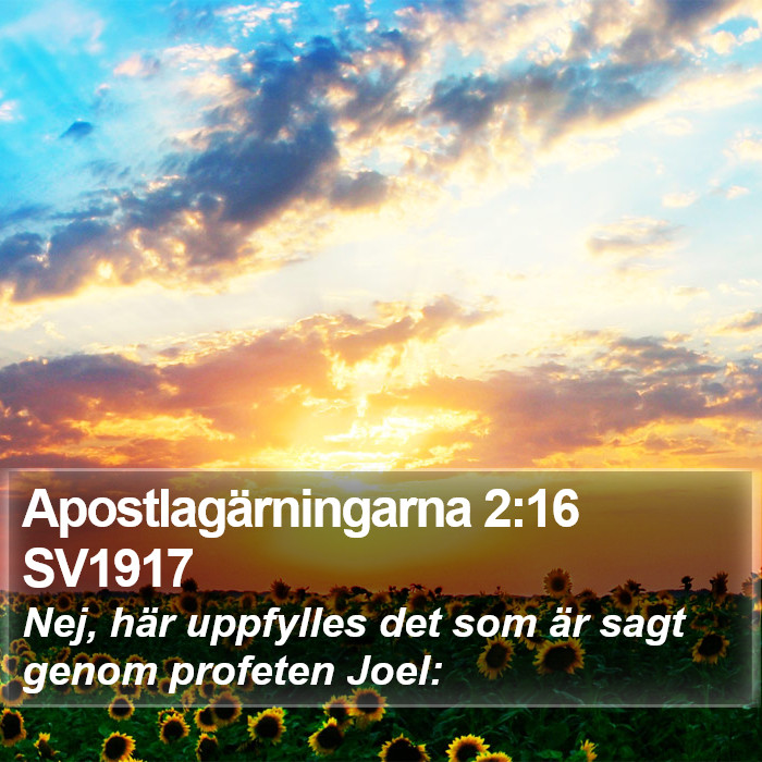 Apostlagärningarna 2:16 SV1917 Bible Study