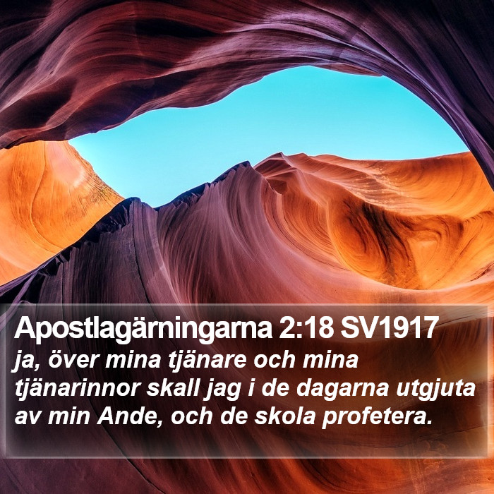 Apostlagärningarna 2:18 SV1917 Bible Study