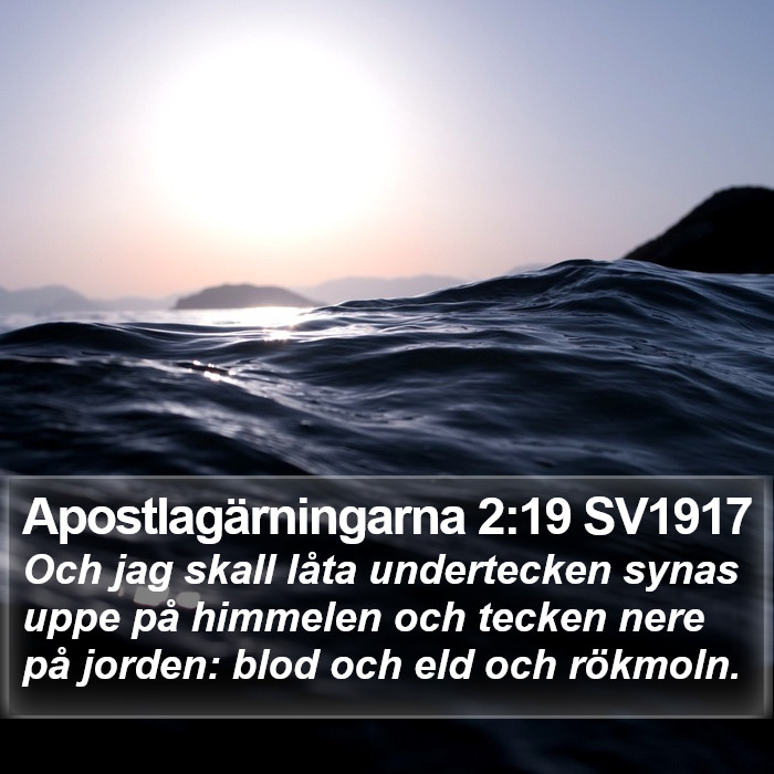 Apostlagärningarna 2:19 SV1917 Bible Study