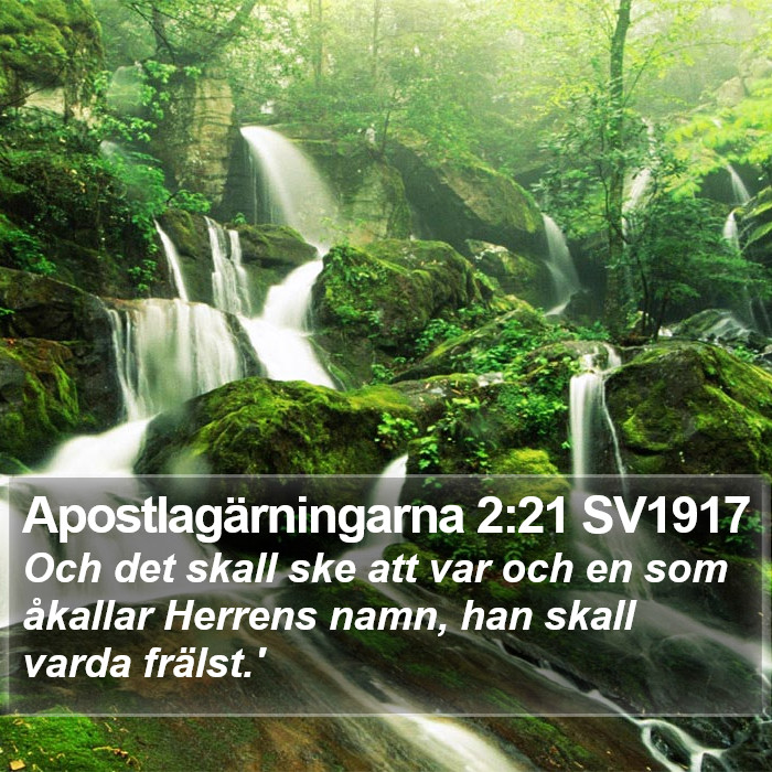 Apostlagärningarna 2:21 SV1917 Bible Study