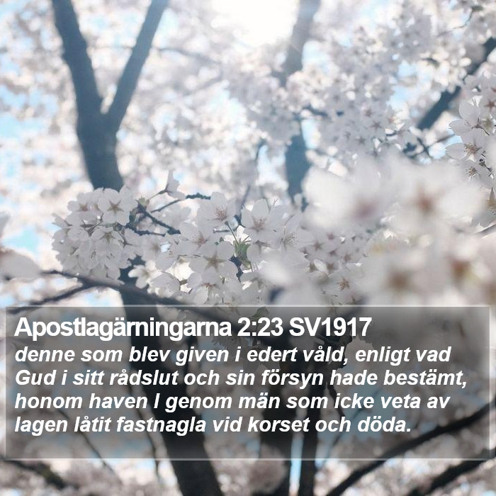 Apostlagärningarna 2:23 SV1917 Bible Study