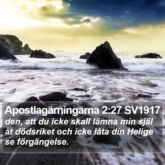 Apostlagärningarna 2:27 SV1917 Bible Study