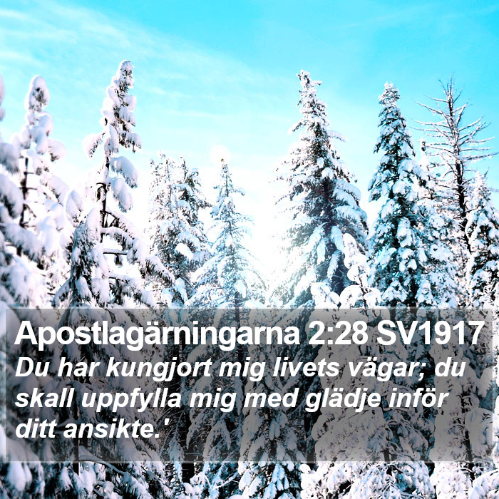 Apostlagärningarna 2:28 SV1917 Bible Study