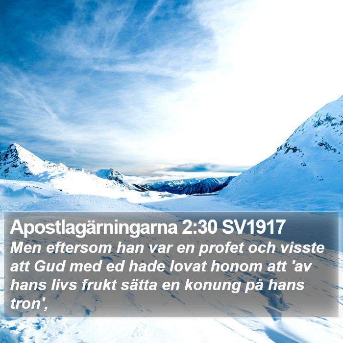 Apostlagärningarna 2:30 SV1917 Bible Study