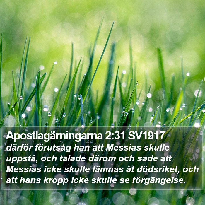 Apostlagärningarna 2:31 SV1917 Bible Study