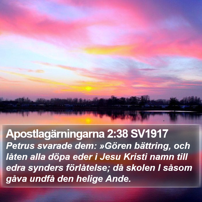 Apostlagärningarna 2:38 SV1917 Bible Study