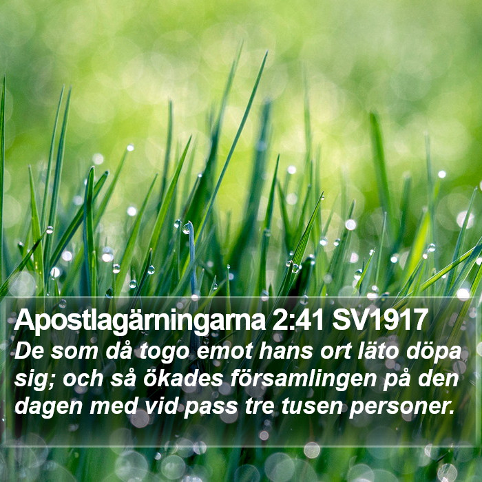 Apostlagärningarna 2:41 SV1917 Bible Study