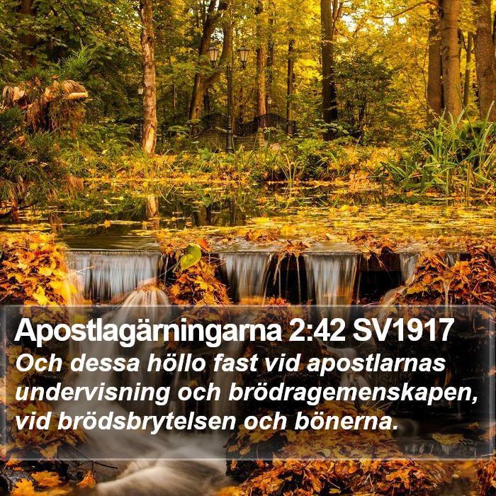 Apostlagärningarna 2:42 SV1917 Bible Study