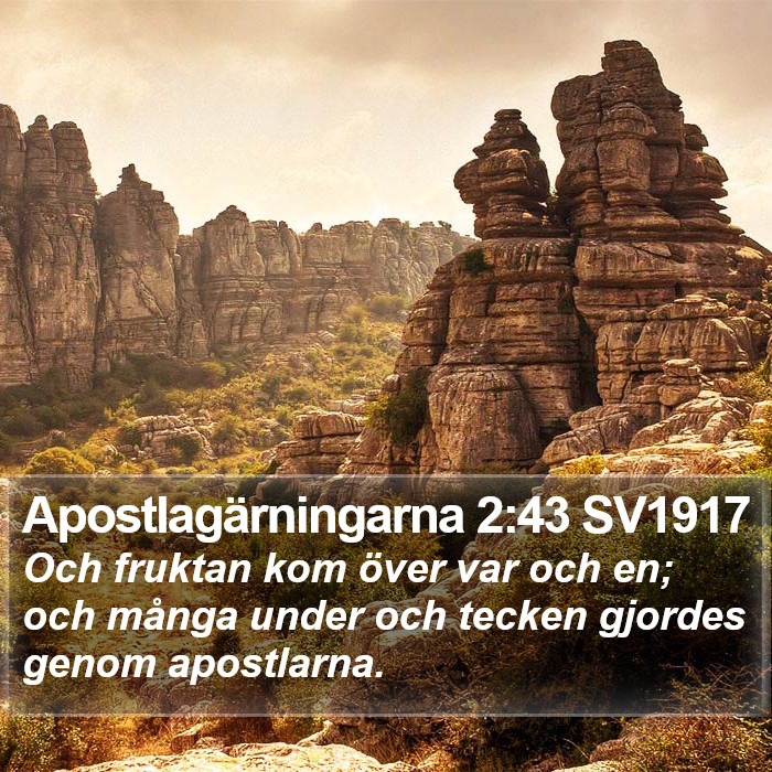 Apostlagärningarna 2:43 SV1917 Bible Study