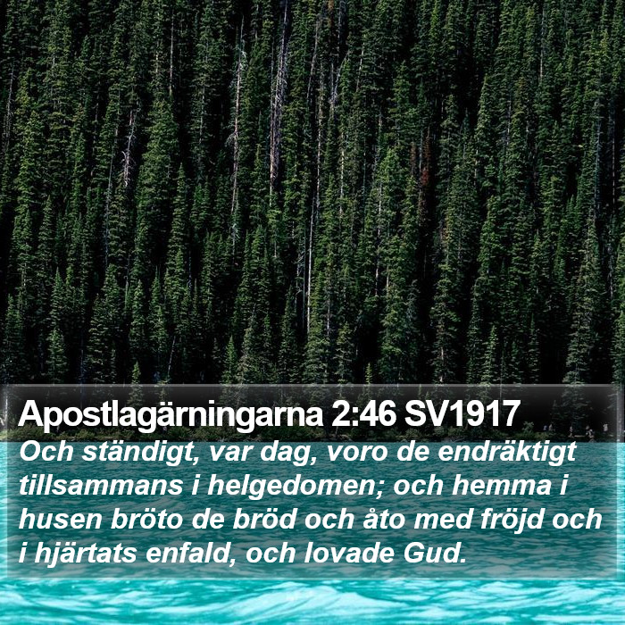 Apostlagärningarna 2:46 SV1917 Bible Study