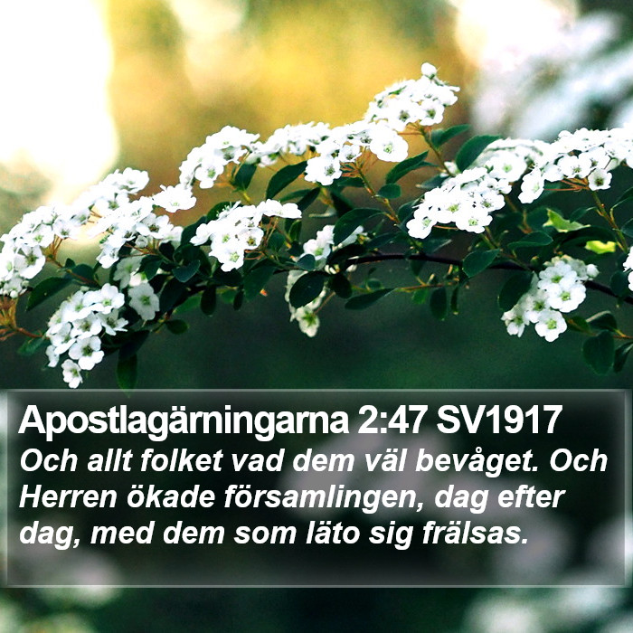 Apostlagärningarna 2:47 SV1917 Bible Study