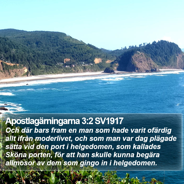 Apostlagärningarna 3:2 SV1917 Bible Study