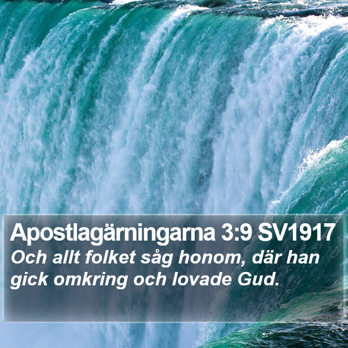 Apostlagärningarna 3:9 SV1917 Bible Study