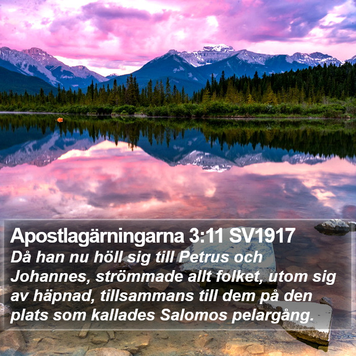 Apostlagärningarna 3:11 SV1917 Bible Study