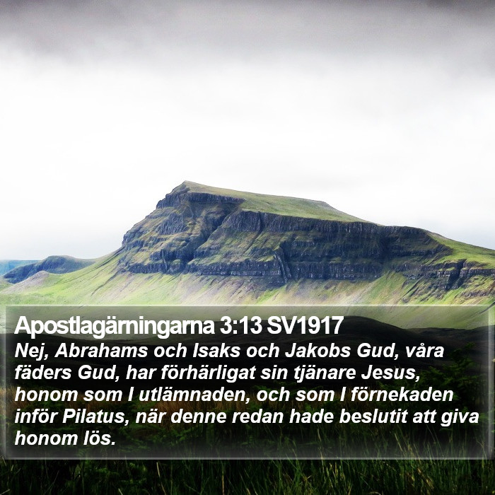 Apostlagärningarna 3:13 SV1917 Bible Study