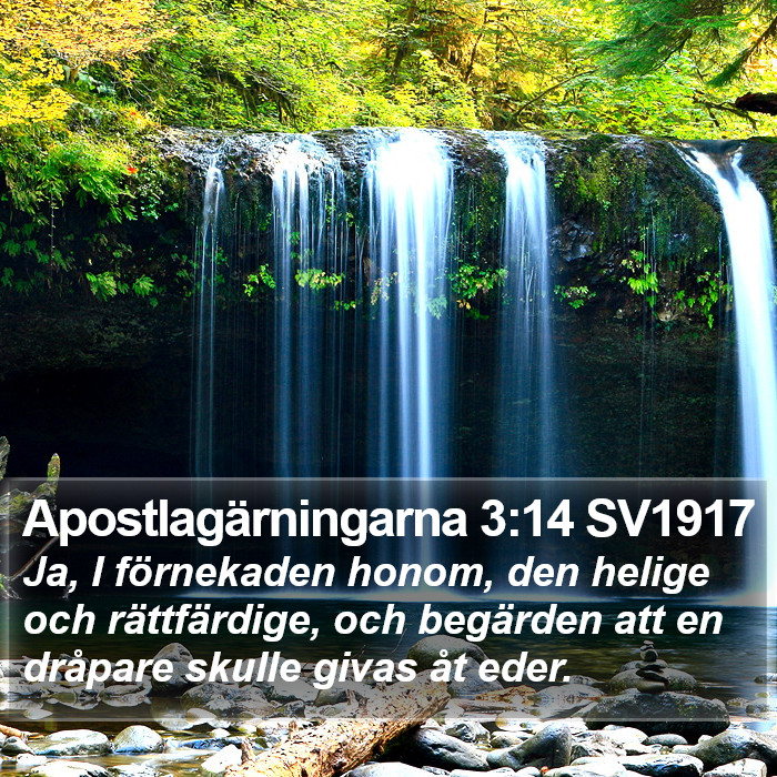 Apostlagärningarna 3:14 SV1917 Bible Study