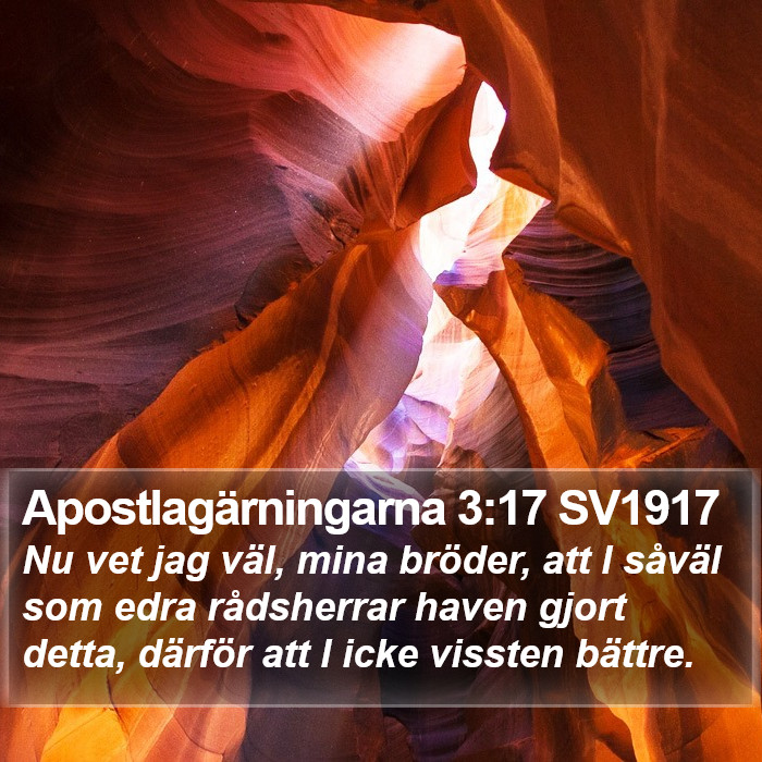 Apostlagärningarna 3:17 SV1917 Bible Study