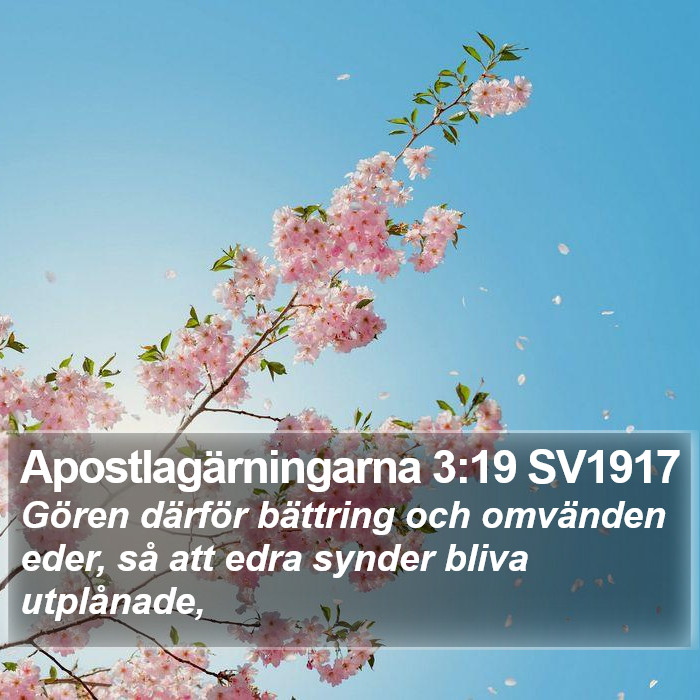 Apostlagärningarna 3:19 SV1917 Bible Study