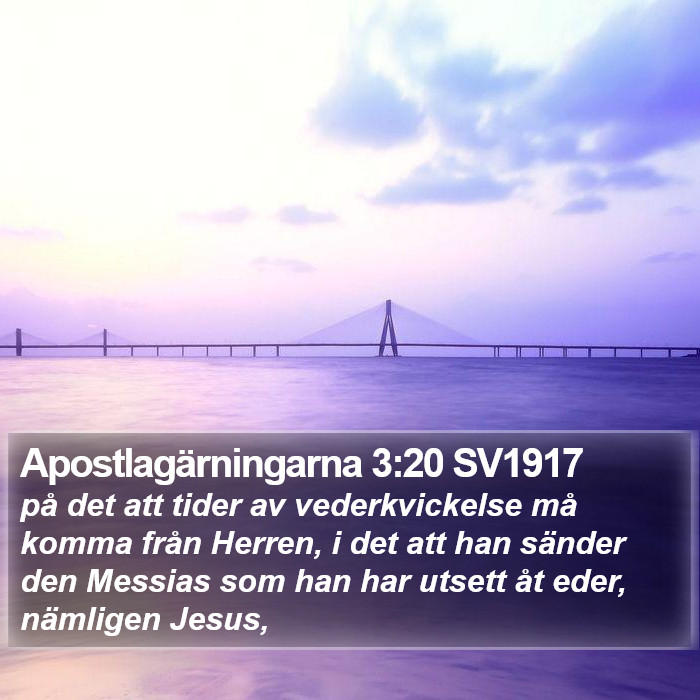 Apostlagärningarna 3:20 SV1917 Bible Study