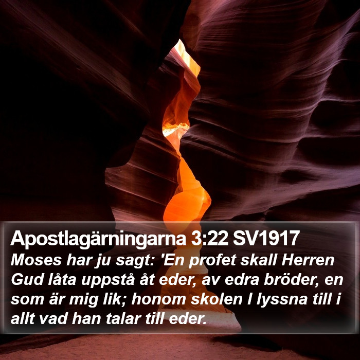 Apostlagärningarna 3:22 SV1917 Bible Study