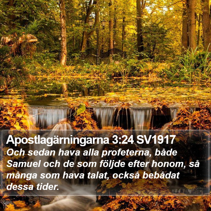 Apostlagärningarna 3:24 SV1917 Bible Study