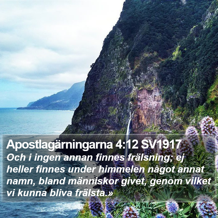 Apostlagärningarna 4:12 SV1917 Bible Study