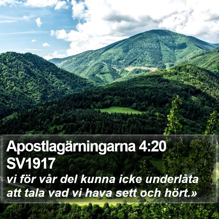 Apostlagärningarna 4:20 SV1917 Bible Study