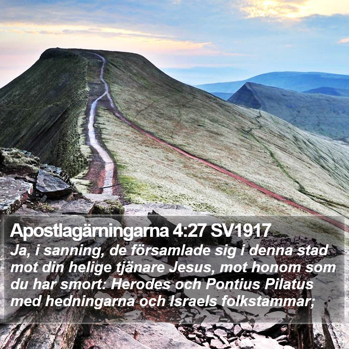 Apostlagärningarna 4:27 SV1917 Bible Study