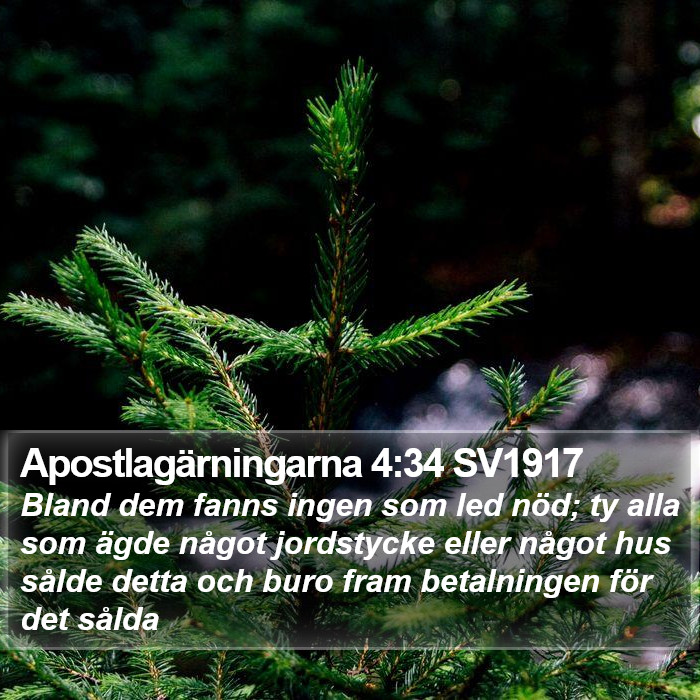 Apostlagärningarna 4:34 SV1917 Bible Study