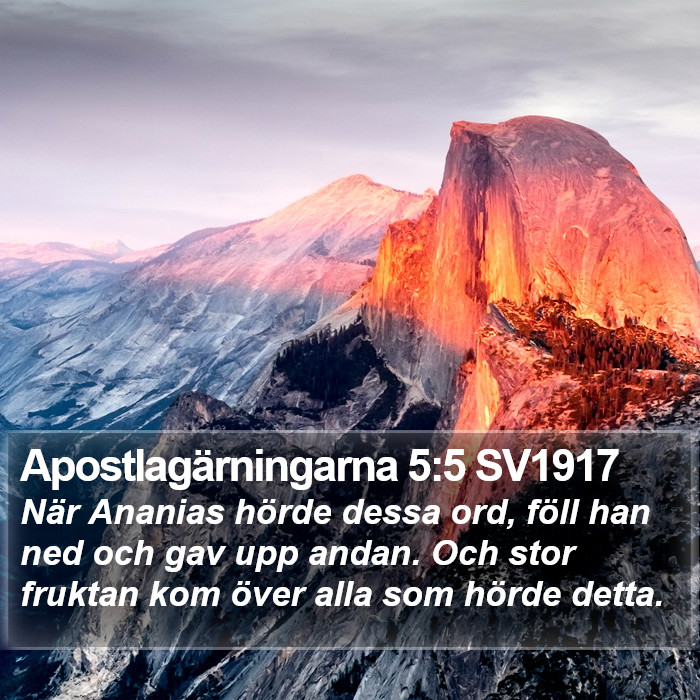 Apostlagärningarna 5:5 SV1917 Bible Study