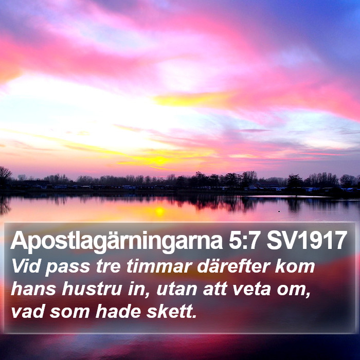 Apostlagärningarna 5:7 SV1917 Bible Study