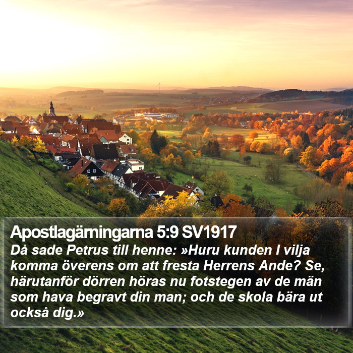 Apostlagärningarna 5:9 SV1917 Bible Study