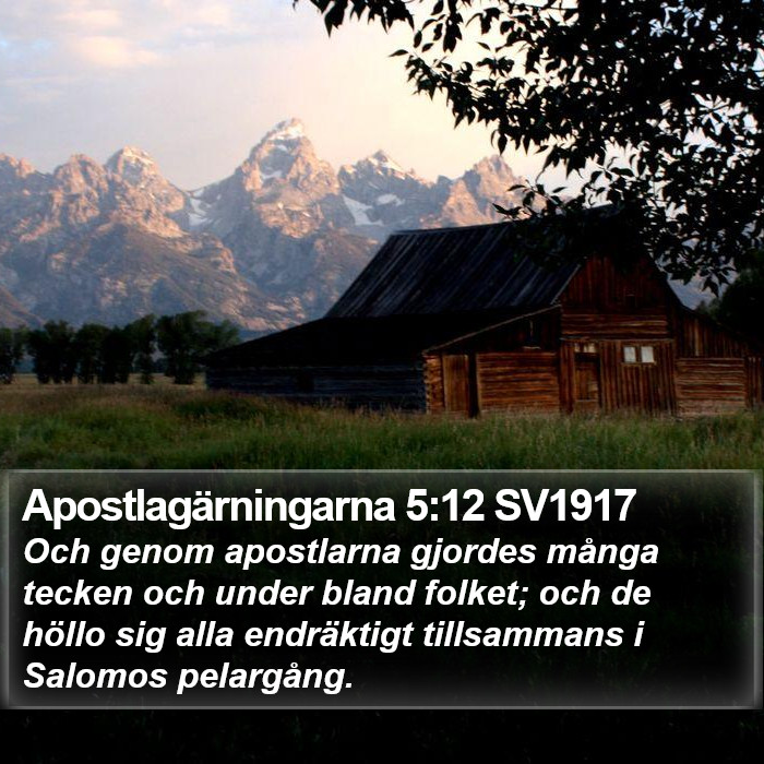 Apostlagärningarna 5:12 SV1917 Bible Study