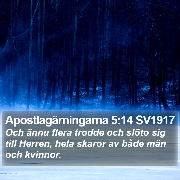 Apostlagärningarna 5:14 SV1917 Bible Study